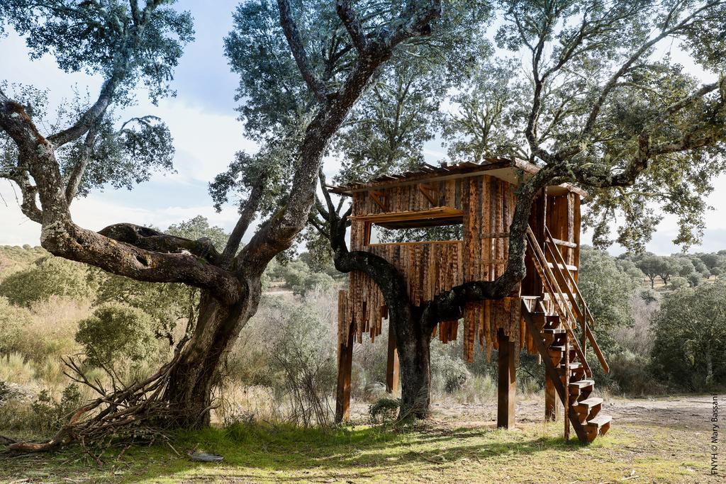 Eco-Lodge En La Reserva Privada Campanarios De Azaba - Proyecto De Conservacion Espeja Zewnętrze zdjęcie
