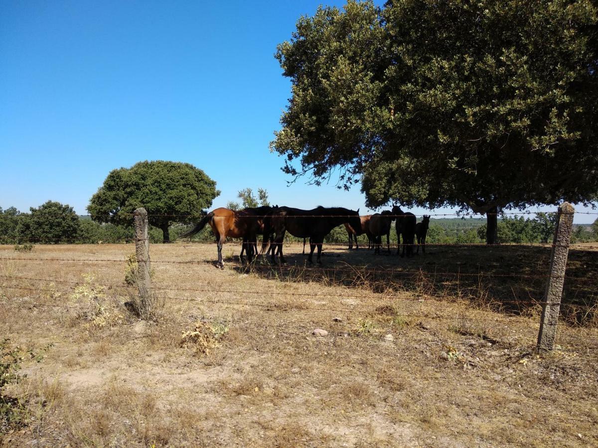 Eco-Lodge En La Reserva Privada Campanarios De Azaba - Proyecto De Conservacion Espeja Zewnętrze zdjęcie