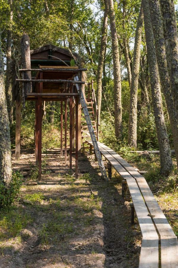 Eco-Lodge En La Reserva Privada Campanarios De Azaba - Proyecto De Conservacion Espeja Zewnętrze zdjęcie
