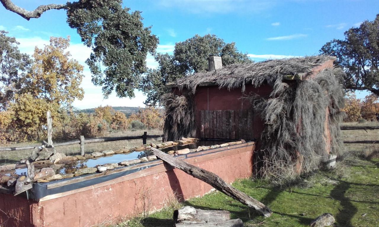 Eco-Lodge En La Reserva Privada Campanarios De Azaba - Proyecto De Conservacion Espeja Zewnętrze zdjęcie